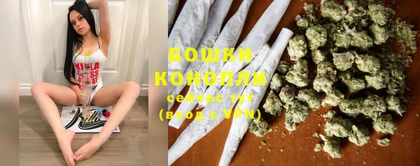 твердый Богданович
