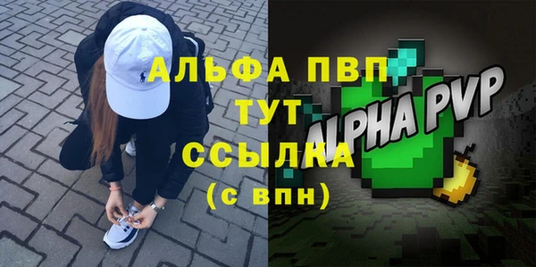 твердый Богданович