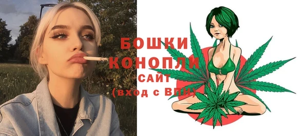 твердый Богданович