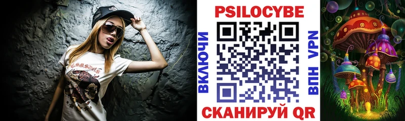 Псилоцибиновые грибы Cubensis  Томск 