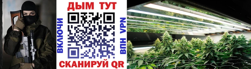 купить наркоту  ОМГ ОМГ маркетплейс  Канабис LSD WEED  Томск 